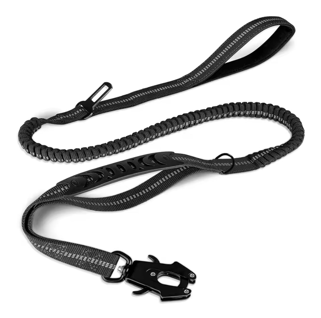 Laisse et ceinture réfléchissante absorbant les chocs NEUNOEIL